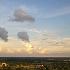 Meet your Posher, Tamra